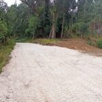 WhatsApp Image 2024-08-03 at 17.57.57